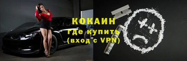 дживик Абинск