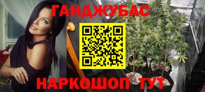 трава Партизанск