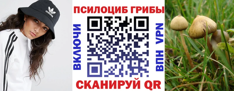 мега вход  Уварово  Псилоцибиновые грибы Magic Shrooms  хочу  