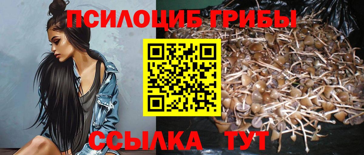 Псилоцибиновые грибы MAGIC MUSHROOMS Уварово