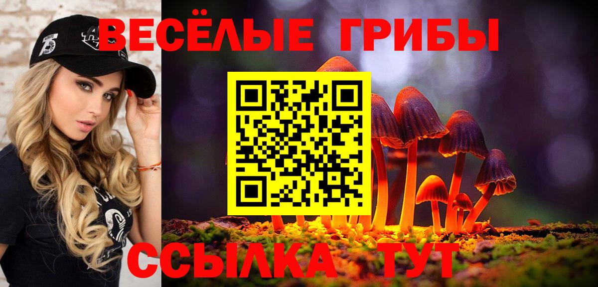 Псилоцибиновые грибы GOLDEN TEACHER  Вход с VPN  Псилоцибиновые грибы Cubensis  Уварово 